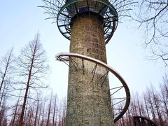 -黄海国家森林公园