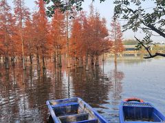 -白鹭湾湿地公园