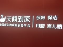 -天鹅到家·保姆月嫂育儿嫂(蔚蓝海岸店)