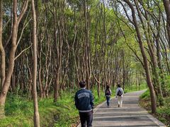 -同里国家湿地公园