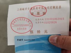 -龙阳路磁悬浮列车总站-停车场