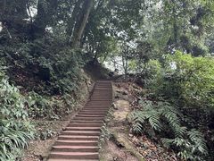 -青城山