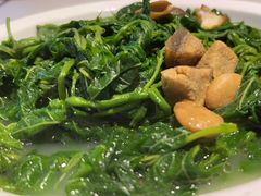 -香港深井掂檔烧鹅茶餐厅(海韵城店)