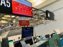 -厦门高崎国际机场-T3航站楼