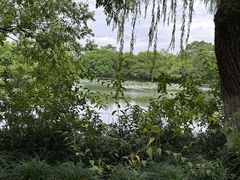 -家烧面馆【南山路知名经典面食】