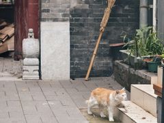 -什刹海