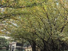 -木塔寺遗址生态公园