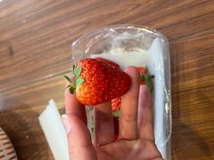 -百果园(绿城百合店)