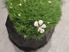 -南堂馆·新川菜(春熙路店)