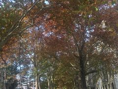 -语言大学-清真食堂