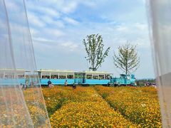 -径山花海