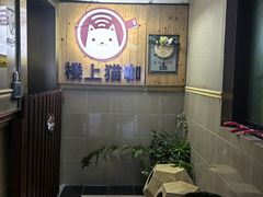 -楼上猫咖(罗湖店)