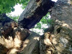 -大连冰峪旅游度假区