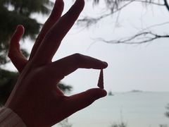 -马銮湾景区