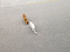 -南京理工大学紫金学院