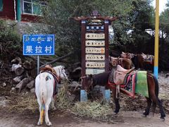 -米堆冰川