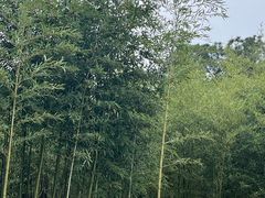 -南京市江宁方山