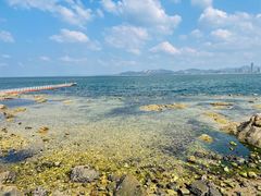 -养马岛旅游度假区