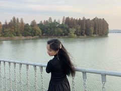 -东湖落雁景区