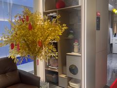 -索菲亚衣柜橱柜全屋定制(真北红星店)