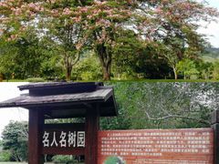 -中国科学院西双版纳热带植物园