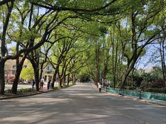 -潜山国家森林公园