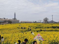 -三圣花乡旅游区