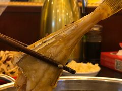 -川道拐耗儿鱼(旗舰店)