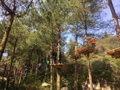 -梦幻奥陶纪景区