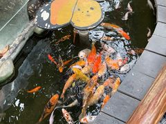 -上海大自然野生昆虫馆(东方明珠·爬宠昆虫探索中心)