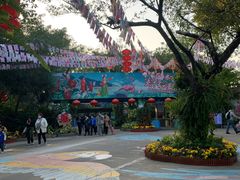 -广州长隆飞鸟乐园