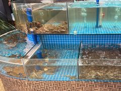 -蓝珊甄选海鲜自助·火锅大排档(近阿那亚店)