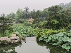 -静之湖度假区