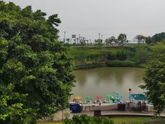 -江门古劳水乡旅游区