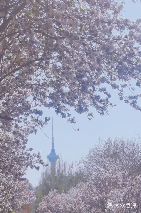 天津五大道文化旅游区图片