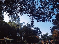 -天河儿童公园