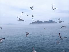 -海驴岛(荣成市)