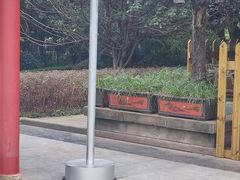 -重庆人民广场