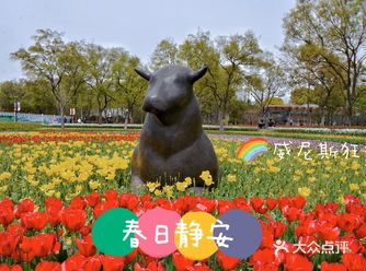 静安雕塑公园の春摄影指南