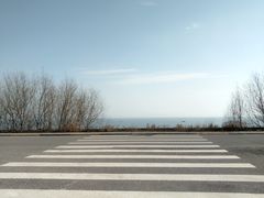 -贡湖湾湿地公园