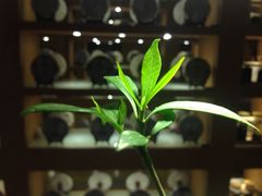 -赏清合茶文化艺术体验馆(百瑞景店)