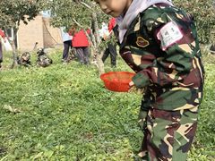 -北京市海淀区现代睿智融合幼儿园