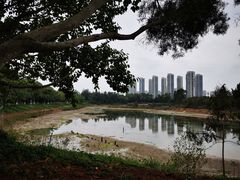 -五缘湾湿地公园