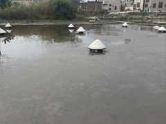 -盐洲岛