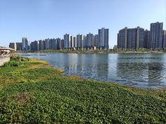 -大小河街
