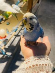 -酷嗒动物文化乐园(cutezoo西溪乐天城店)