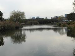 -新江湾城公园