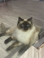 -摩瘦纤体订制减肥