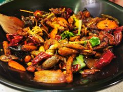 -食乐佳麻辣香锅(森林摩尔商业街区店)