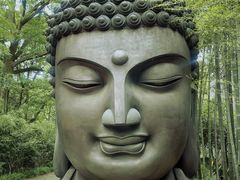 -杭州植物园